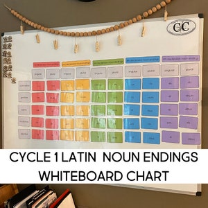 Whiteboard-schema voor Latijnse zelfstandige naamwoorden voor klassieke gesprekken, cyclus 1