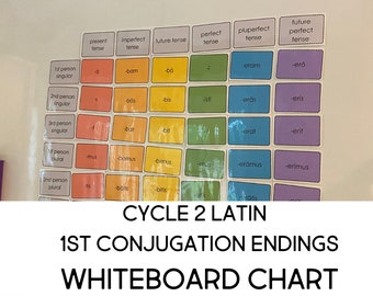 Latin Whiteboard Chart for Classical Conversations Cycle 2