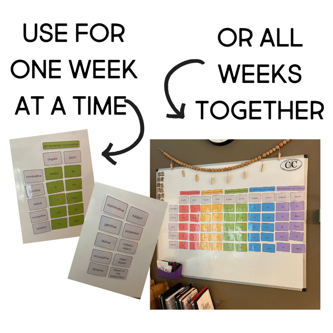 Latin Noun Whiteboard Chart for Classical Conversations Cycle 1 - Etsy