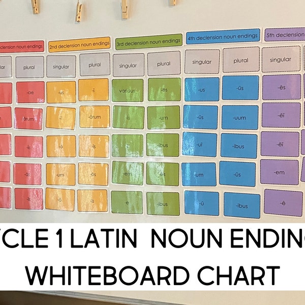 Latin Noun Whiteboard Chart for Classical Conversations Cycle 1