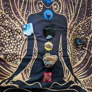 May include: A black silhouette of a person sitting in a lotus position with seven crystals placed on their body, representing the seven chakras. The background is a brown and gold tapestry with a floral design.