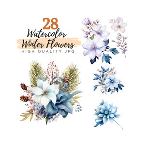 Clipart de flores de inverno em aquarela, JPG de alta qualidade, download digital, clipart em aquarela, flores de Natal, floral azul, buquê de flores