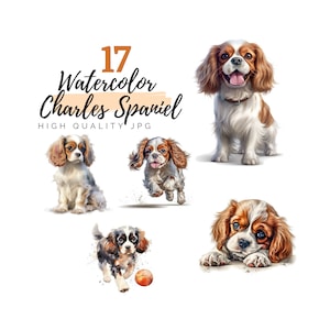 Clipart aquarela Cavalier King Charles Spaniel, JPG de alta qualidade, clipart aquarela, download digital, clipart de cachorro, clipart de animais de estimação