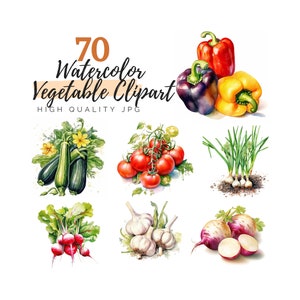 Imágenes prediseñadas de verduras de acuarela, imágenes prediseñadas de verduras, imágenes prediseñadas de alimentos, descarga digital, imágenes prediseñadas de jardinería, imágenes prediseñadas de jardín, mercado de agricultores