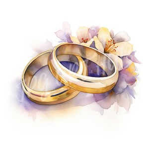 Watercolor Wedding Rings Clipart Bundle, High Quality JPG, Digital ...
