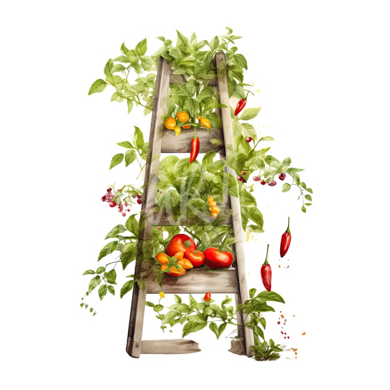 Chilli Ladder Watercolor Chilli Pepper Clipart Bundle, Spicy Clipart, Mexican Clipart ...