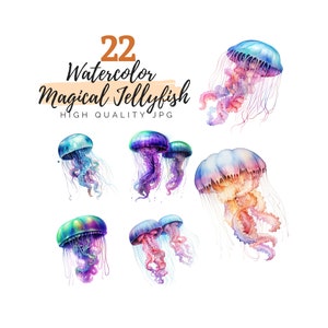 Watercolor Colorful Jellyfish Clipart, Ocean Animals, Digital Download, Sea Creatures, Marine Life, Magical  Jellyfish, Watercolor Jellyfish