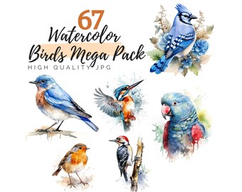 Watercolor Birds Clipart Bundle, Kingfisher Clipart, Parrot Clipart, Digital Download, Pigeon Clipart, Red Cardinal Clipart, Sparrow Clipart