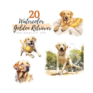 Watercolor Labrador Retriever Clipart, High Quality JPG, Digital Download, Watercolor Clipart, Dog Clipart, Pet Clipart, Dog Clip Art