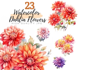 Watercolor Dahlia Flowers Clipart, Dahlia Clipart, Watercolor Flower, Digital Download, Floral Clipart, Flower Clipart, Botanical Print