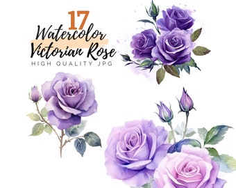 Watercolor Victorian Rose Clipart, Purple Rose Clipart, Watercolor Rose, Digital Download, Floral Clipart, Watercolor Flower, Flower Clipart