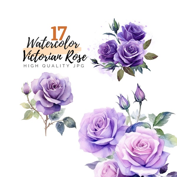 Watercolor Victorian Rose Clipart, Purple Rose Clipart, Watercolor Rose, Digital Download, Floral Clipart, Watercolor Flower, Flower Clipart