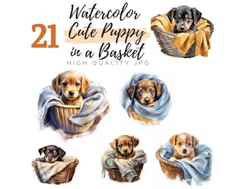 Aquarell niedlicher Welpe in einem Korb Clipart, Welpe Clipart, digitaler Download, Haustier Clipart, Hund Clipart, hohe Qualität JPG, Aquarell Clipart