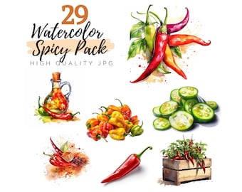 Aquarell Chili Pepper Clipart Bundle, würzige Clipart, mexikanische Clipart, digitaler Download, Kochen Clipart, Essen Clipart, Pfeffer Clipart