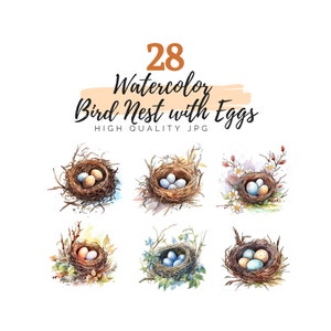 Watercolor Bird Nest with Eggs Clipart, Bird Nest Clipart, Digital Download, Watercolor Clipart, Easter Clipart, Spring Clipart