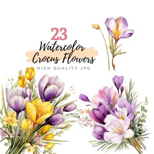 Watercolor Crocus Flowers Clipart, High Quality JPG, Card Making, Invitation, Paper Craft, Crocus Clipart, Digital Planners, Commercial Use