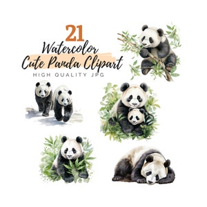Watercolor Cute Panda Clipart Bundle, Baby Panda, High Quality JPG, Panda Bamboo Clipart, Digital Download, Watercolor Panda, Wild Animal