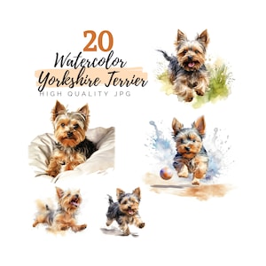 Watercolor Yorkshire Terrier Clipart, High Quality JPG, Digital Download, Watercolor Clipart, Dog Clipart, Pet Clipart, Dog Clip Art