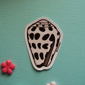 May include: A black and white spotted seashell sticker with a pink interior. The sticker has a brown outline and the text '@cococonulgal' on the right side.