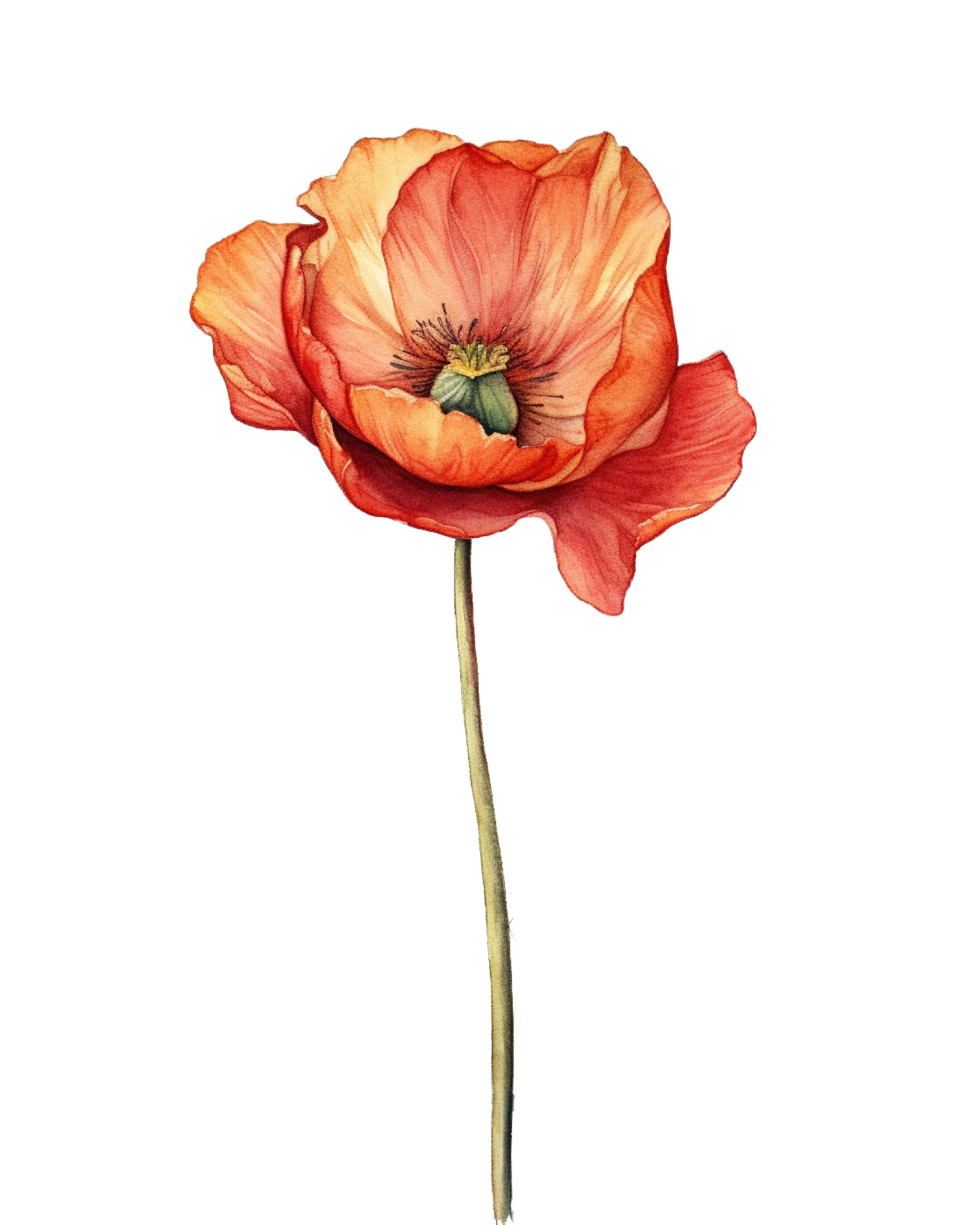 Poppy Set of 3 Watercolor Digital Print Floral Wall Art for Home ...
