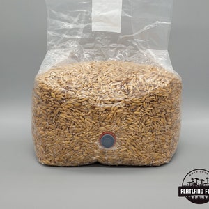 May include: A clear plastic bag filled with a large quantity of uncooked oat grain. The bag has a small, round, grey injection port with a red cap. The bag is labelled with the text "MUSH LOVE FLATLAND FUNGI".
