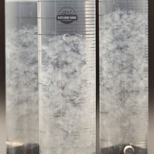 K&ouml;nnte beinhalten: Drei durchsichtige Glasflaschen gef&uuml;llt mit einer wei&szlig;en, tr&uuml;ben Fl&uuml;ssigkeit. Die Flaschen haben schwarze Verschl&uuml;sse und ein Etikett auf der mittleren Flasche mit der Aufschrift "Flatland Fungi".