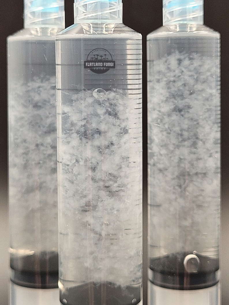 K&ouml;nnte beinhalten: Drei durchsichtige Glasflaschen gef&uuml;llt mit einer wei&szlig;en, tr&uuml;ben Fl&uuml;ssigkeit. Die Flaschen haben schwarze Verschl&uuml;sse und ein Etikett auf der mittleren Flasche mit der Aufschrift "Flatland Fungi".