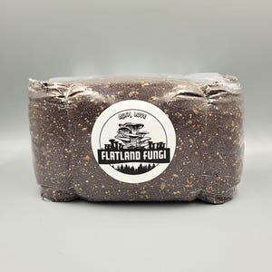 Sac de culture de champignons tout-en-un | Pré-stérilisé | 5 livres de seigle et de millet mélangés avec substrat CVG | Orifice d'injection