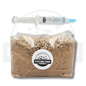 May include: A clear syringe with a blue tip sits above a transparent bag filled with brown grains. The bag features a white circular label with the text "MUSH LOVE" and "FLATLAND FUNGI" in black.