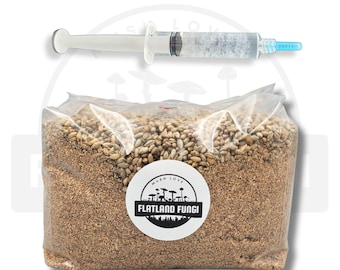 Op de afbeelding: Een doorzichtige plastic spuit met een blauwe punt bevindt zich boven een transparante zak gevuld met bruine granen. De zak heeft een wit rond etiket met de tekst "MUSH LOVE" en "FLATLAND FUNGI" in zwart.