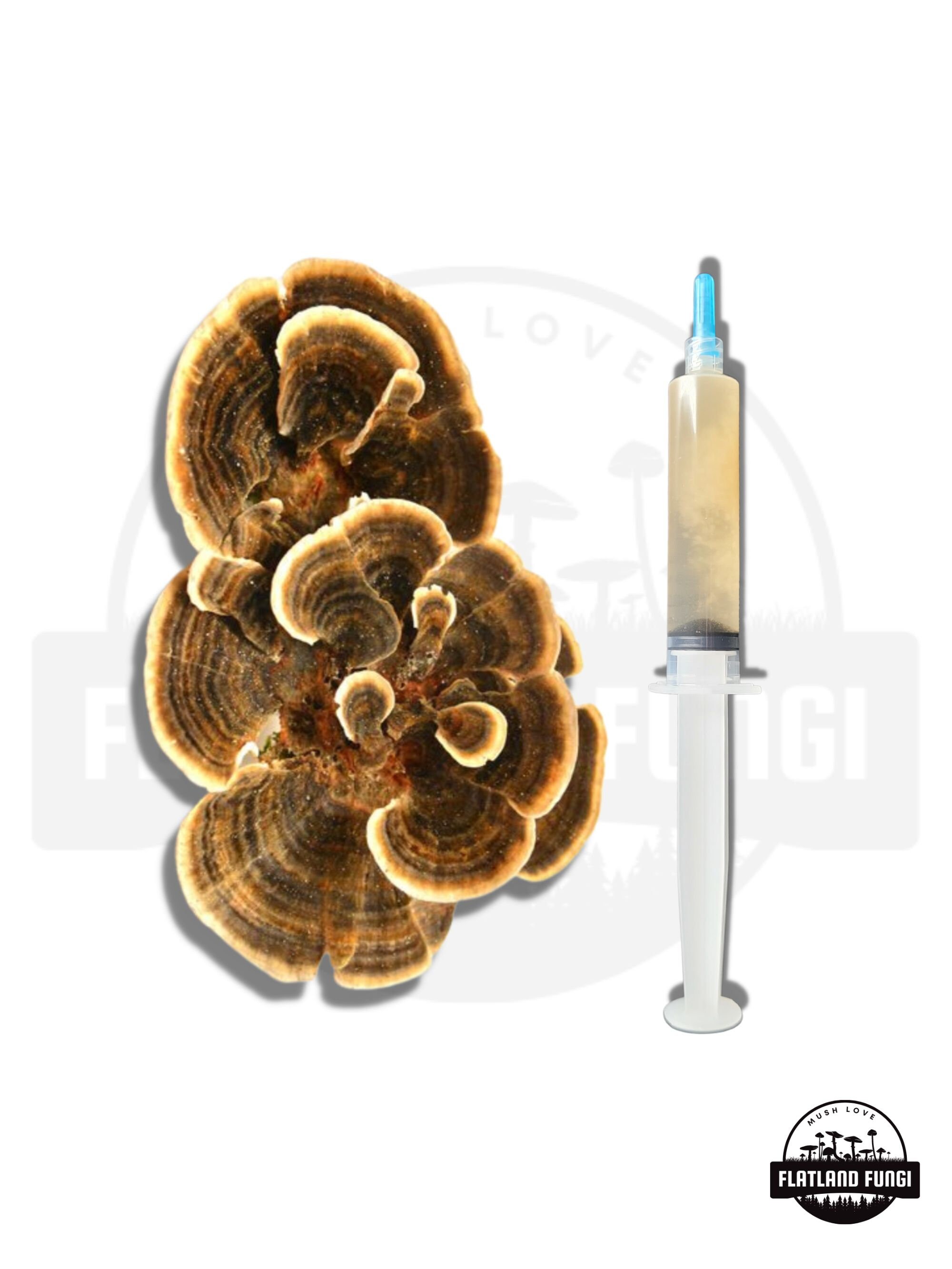 5 LB Spawn & Liquid Culture Bundle Sterile Injection Port Choose Rye ...