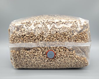 Pre-Sterilized | Rye Mushroom Grain Spawn | Injection Port | Grow Mushrooms at Home