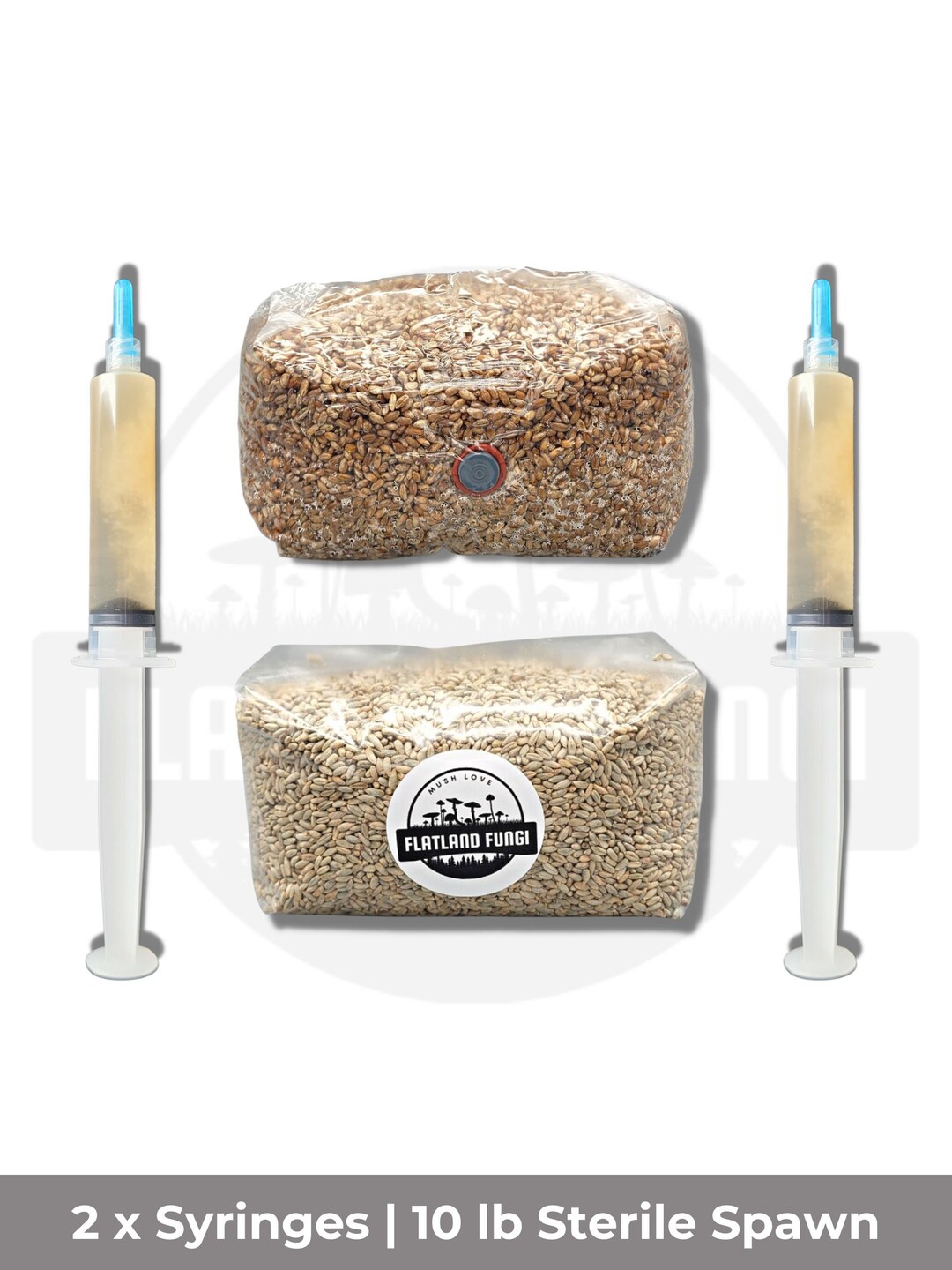 10 LB Spawn & Liquid Culture Bundle Sterile Injection Port Choose Rye ...