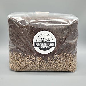 All-In-One Mushroom Grow Bag | Pre-Sterilized | Rye Grain Spawn & CVG Substrate | Injection Port