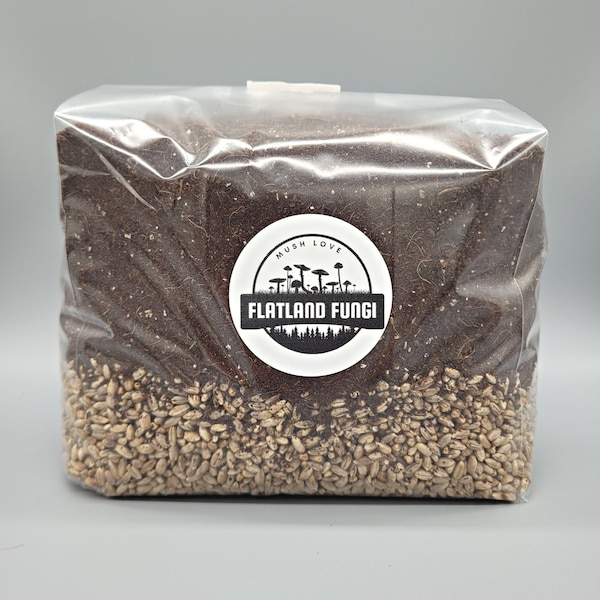 All-In-One Mushroom Grow Bag | Pre-Sterilized | Grain Spawn & CVG Substrate | Injection Port