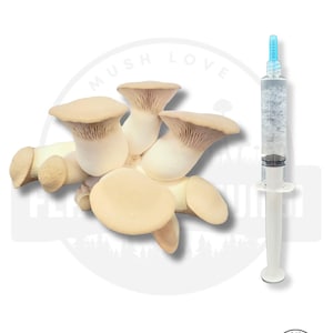 10 ml - Pilz-Flüssigkultur-Spritze | Dickes Live Mycel | Pilze zu Hause züchten King Oyster