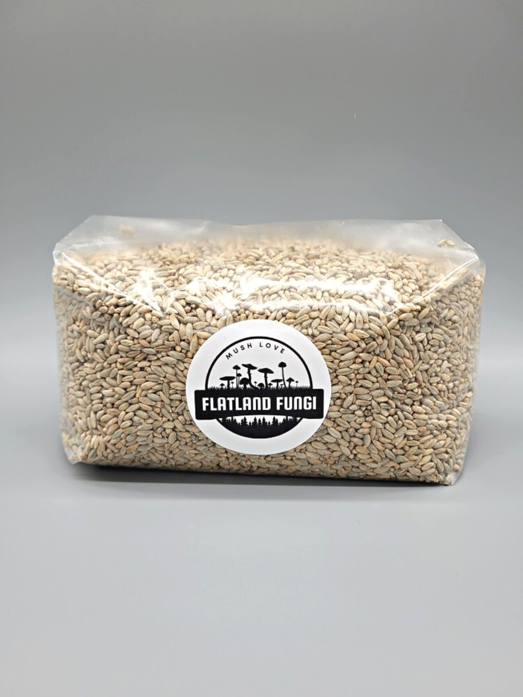 Pre-sterilized Rye Mushroom Grain Spawn Injection Port Grow Mushrooms ...