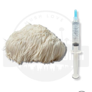 K&ouml;nnte beinhalten: Ein wei&szlig;er L&ouml;wenm&auml;hne-Pilz mit einer Spritze gef&uuml;llt mit klarer Fl&uuml;ssigkeit. Die Spritze hat eine blaue Spitze und einen wei&szlig;en Kolben. Der Pilz ist ein beliebter Bestandteil von Nahrungserg&auml;nzungsmitteln.