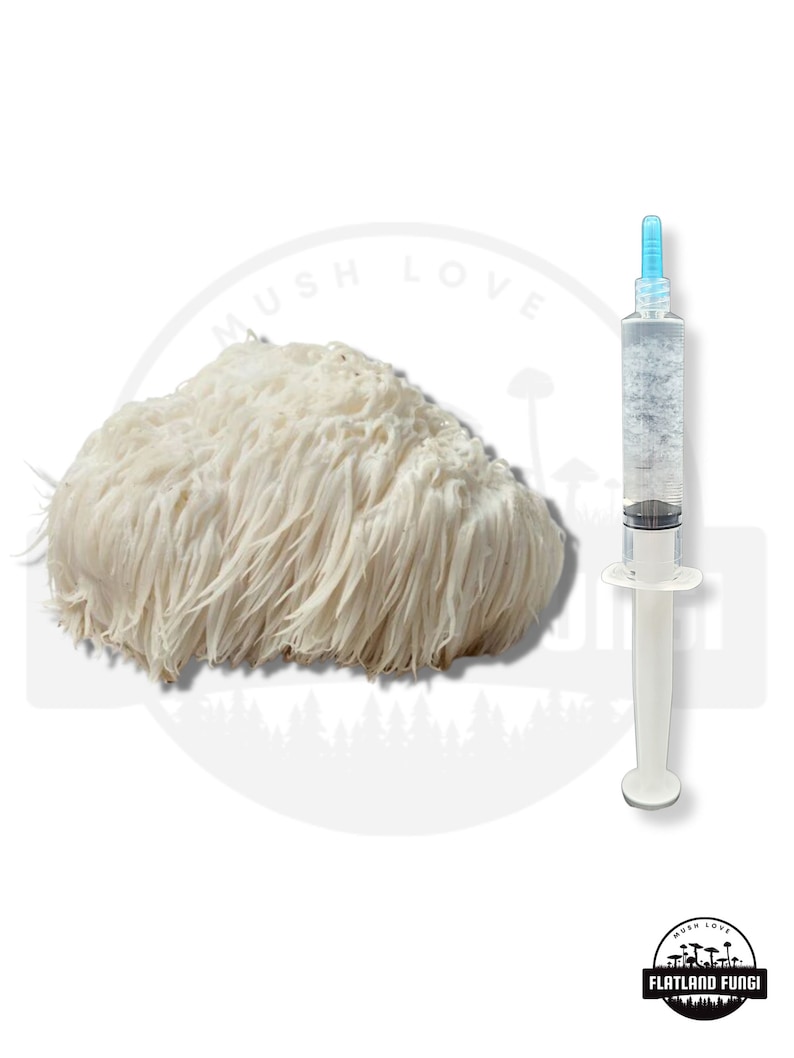 K&ouml;nnte beinhalten: Ein wei&szlig;er L&ouml;wenm&auml;hne-Pilz mit einer Spritze gef&uuml;llt mit klarer Fl&uuml;ssigkeit. Die Spritze hat eine blaue Spitze und einen wei&szlig;en Kolben. Der Pilz ist ein beliebter Bestandteil von Nahrungserg&auml;nzungsmitteln.