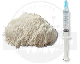 10 ml - Löwenmähnenpilz Flüssigkultur Spritze | Lebendes Myzel | Pilze zu Hause züchten