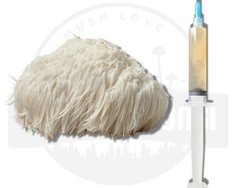 12 ml - Lions Mane Mushroom Liquid Culture Syringe | Live Mycelium | Grow Mushrooms at Home