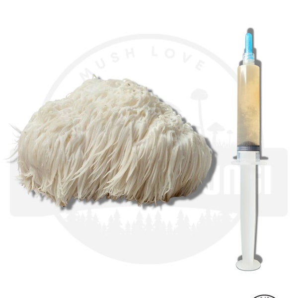 12 ml - Lions Mane Mushroom Liquid Culture Syringe | Live Mycelium | Grow Mushrooms at Home