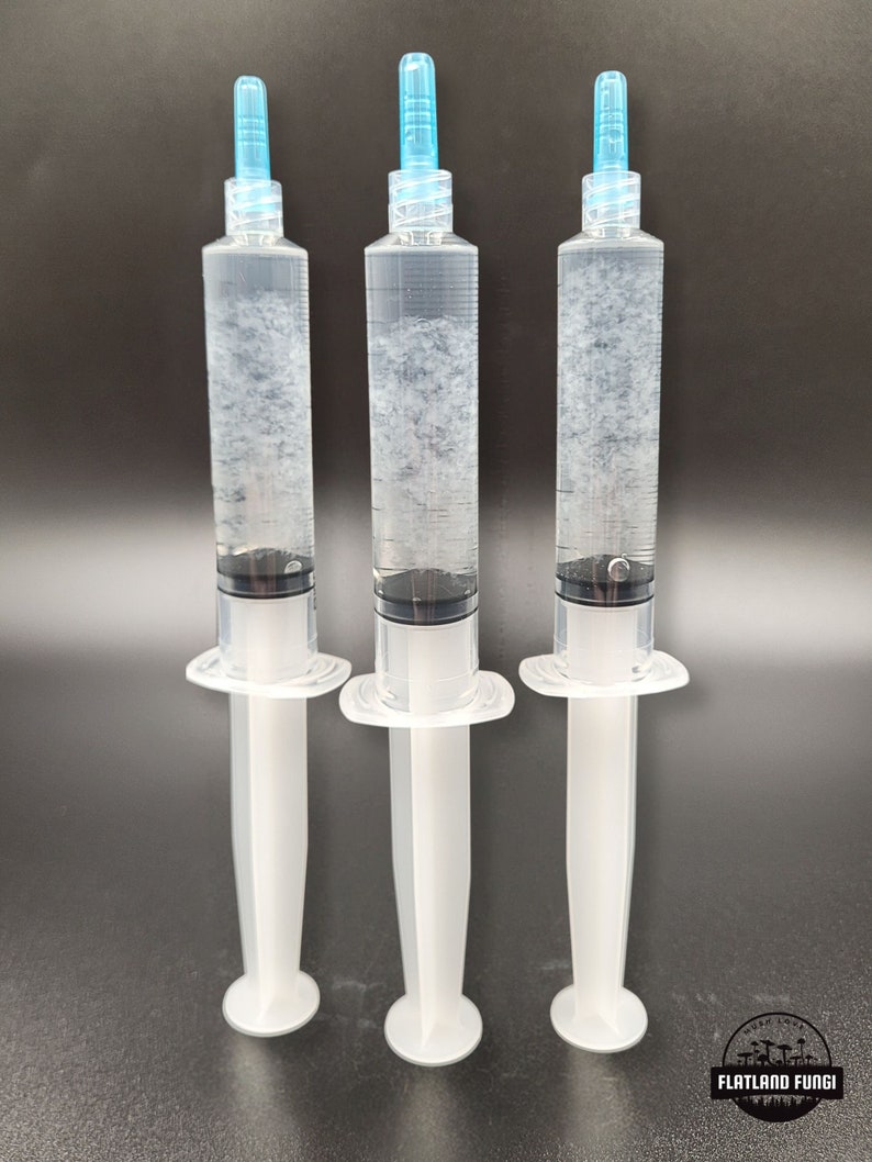 10 ml - Pilz-Flüssigkultur-Spritze | Dickes Live Mycel | Pilze zu Hause züchten Bild 1