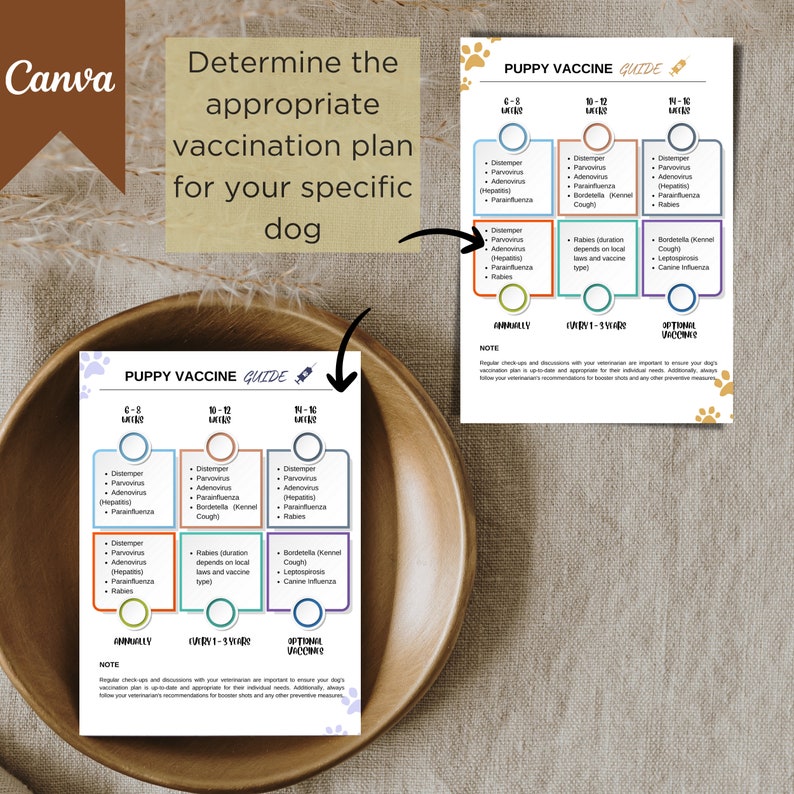 May include: A printable puppy vaccination guide featuring a syringe icon. The guide outlines recommended vaccinations for puppies at various ages, including distemper, parvovirus, adenovirus, parainfluenza, rabies, bordetella, leptospirosis, and canine influenza. The guide also includes notes on the frequency of vaccinations.