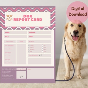 Op de afbeelding: Printbare hondenrapportkaart met een roze en wit ontwerp. De rapportkaart heeft secties voor naam, datum, tijd, activiteiten, beoordeling, stemming en speciale momenten. De rapportkaart bevat ook een sectie voor het beoordelen van activiteiten met een schaal van 1 tot 5.