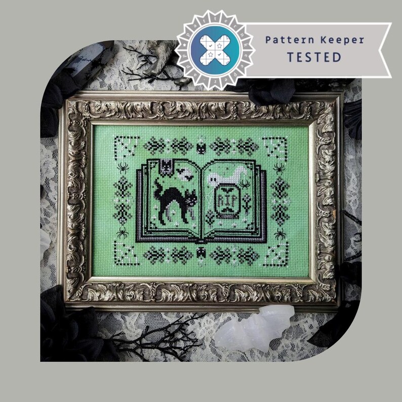 May include: A framed cross-stitch design of a book with a black cat and a ghost. The book is open and the pages are green with black stitching. The frame is ornate and silver.
