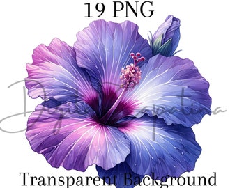 Watercolor Hibiscus Flowers Clipart 19 PNG Digital Download Watercolor Clipart Hawaiian Flower Png Digital Paper Flower Prints Tropical