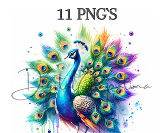 Acuarela Peacock Clipart 11 PNG Descarga digital Licencia comercial Mixed Media Paper Craft Acuarela Clipart Imprimible Arte Junk Journal
