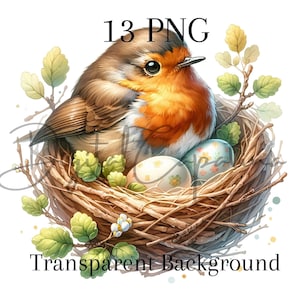Aquarel Robin Clipart 13 PNG Digitale Download Bosdieren Vogel Mixed Media Digitale Papier Ambachtelijke Digitale Illustratie Bloemensublimatie