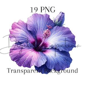 Aquarell Hibiskus Blumen Clipart 19 PNG Digital Download Aquarell Clipart Hawaiianische Blume Png Digitales Papier Blumendrucke Tropisch